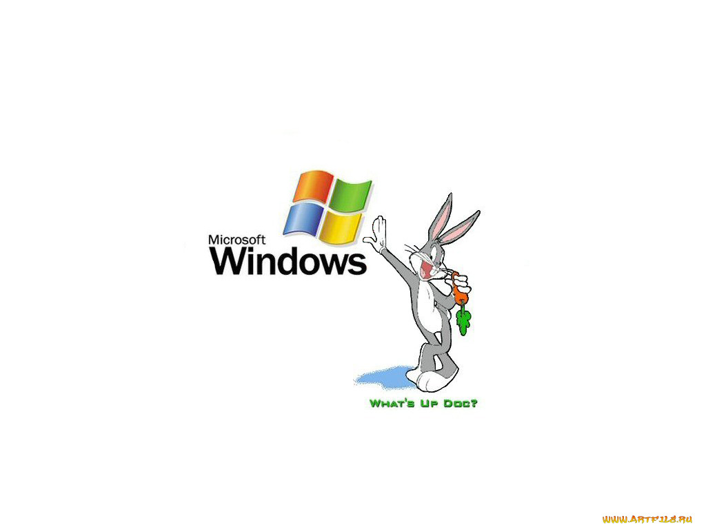 , windows, xp